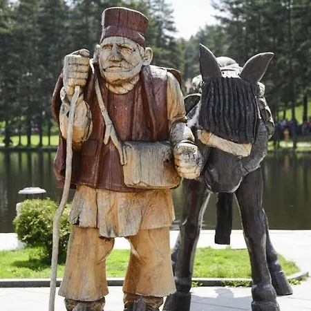 Tina Apartamento Zlatibor